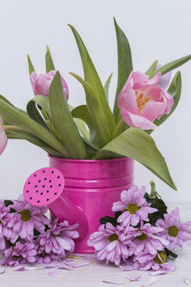 Розовые тюльпаны с цветами хризантемы на сером фоне