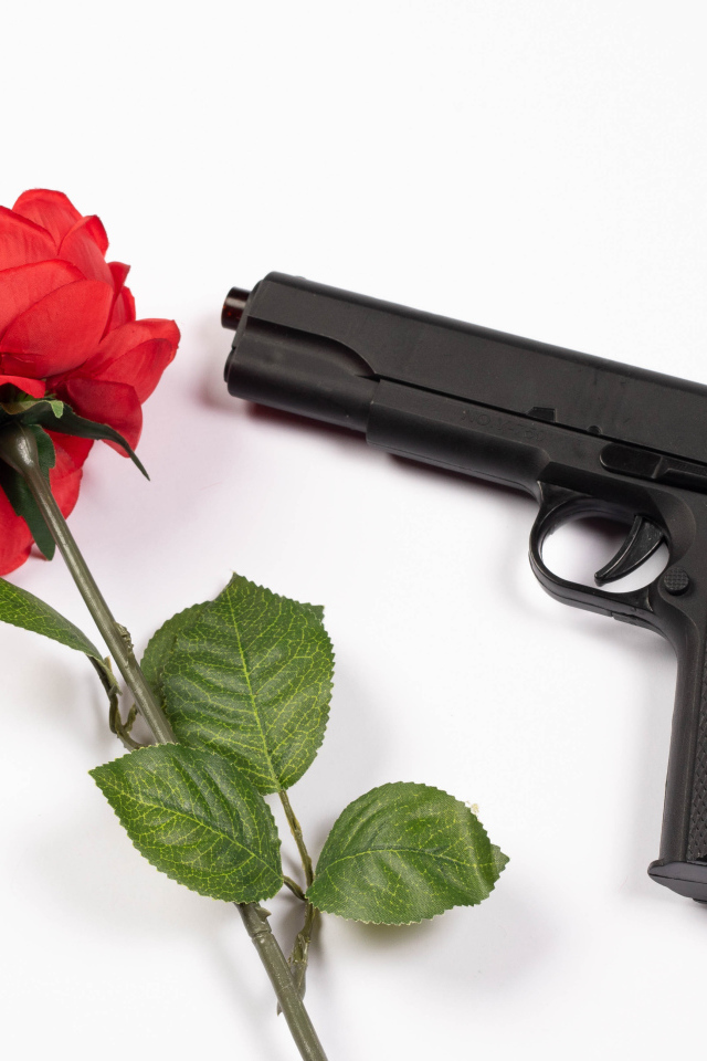 Красная роза и черный пистолет на белом фоне
