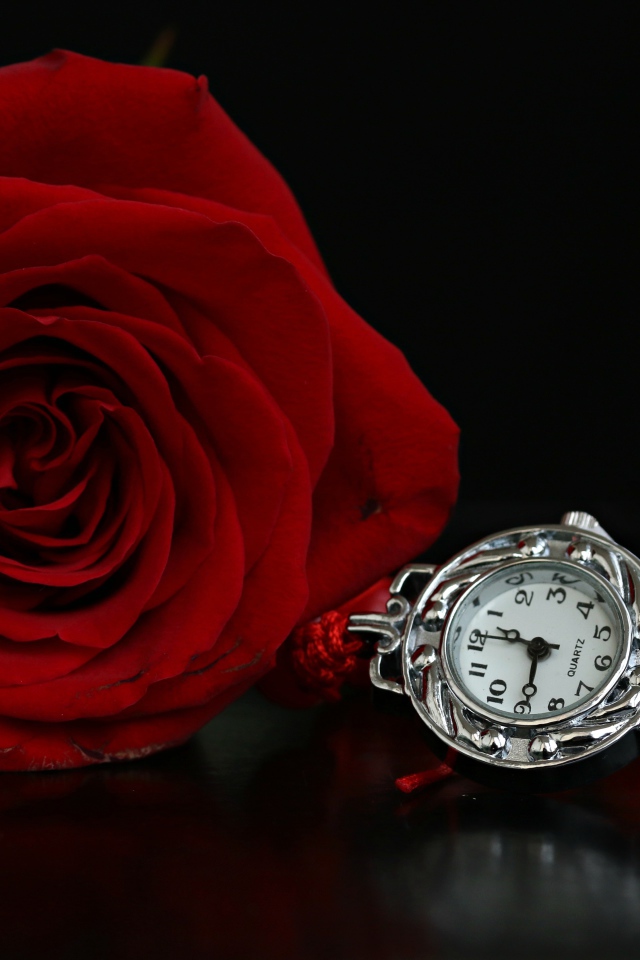 Красная роза с часами на черном фоне