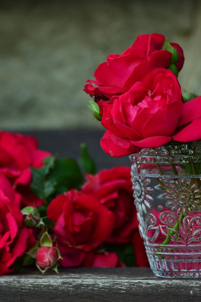 Красные розы в хрустальной рюмке на столе