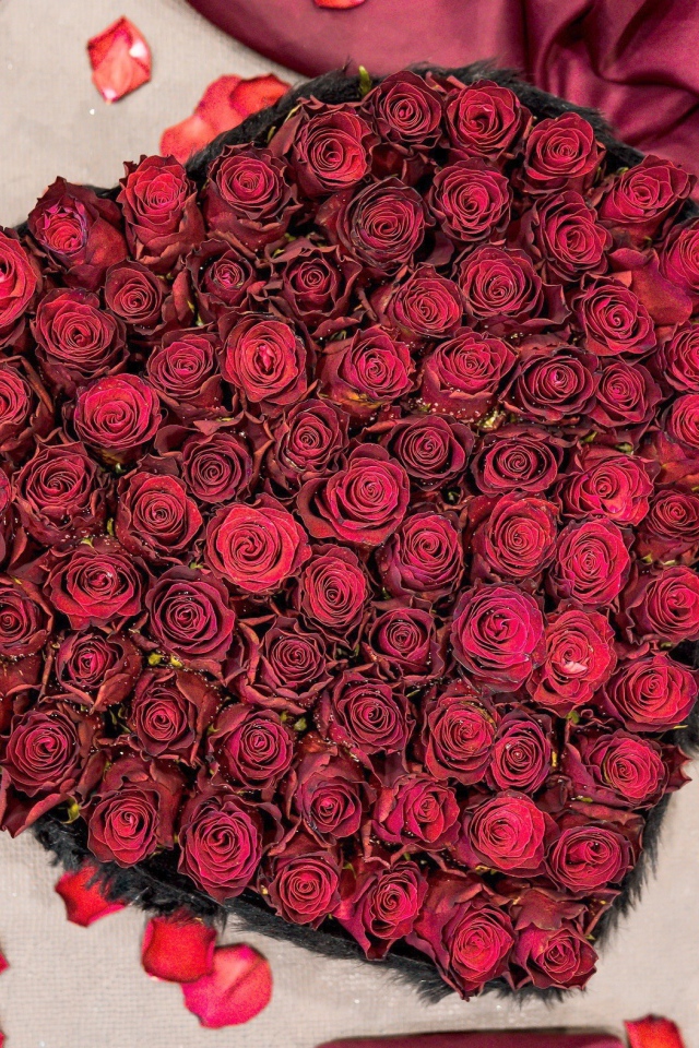 Красные розы в коробке в форме сердца вид сверху