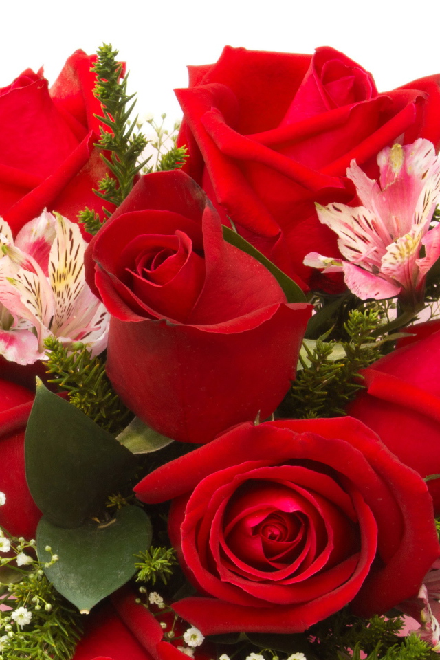 Красные розы с цветами альстромерии на белом фоне