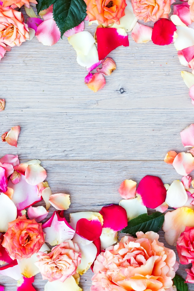 Бутоны роз на сером фоне крупным планом