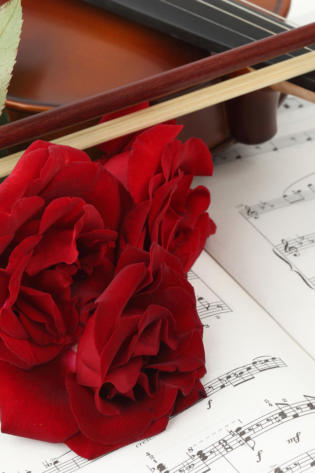 Три красных розы на нотах со скрипкой 