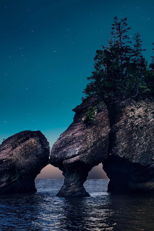 Скалы с деревьями в воде ночью 