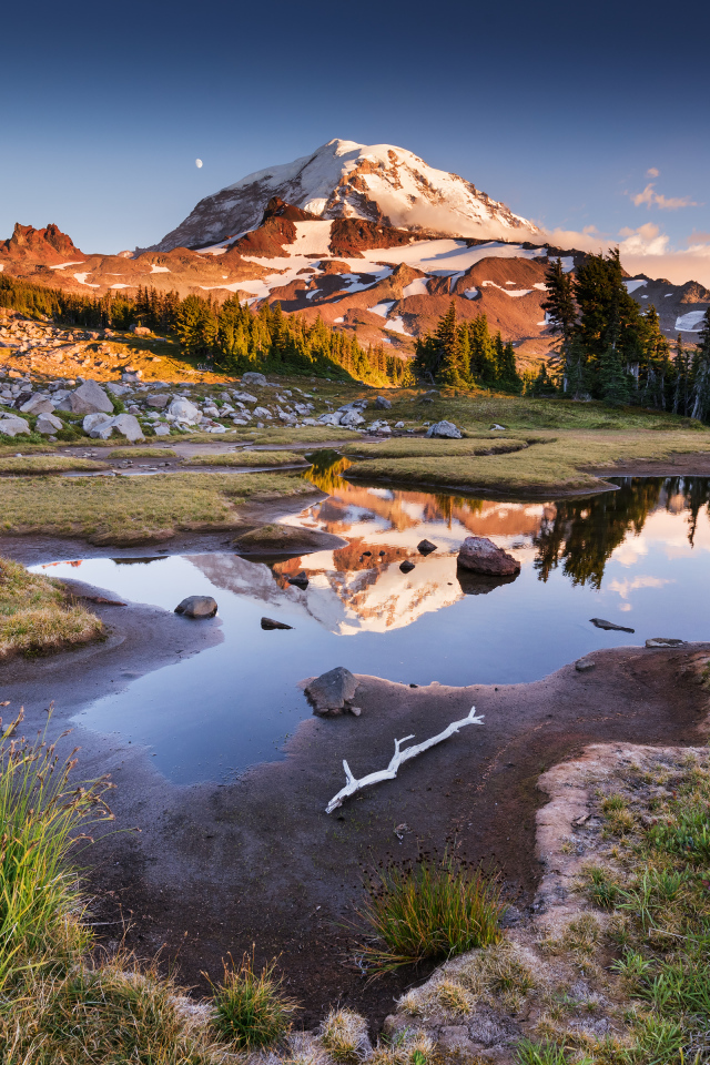 Заснеженная гора  у леса под голубым небом в лучах солнца