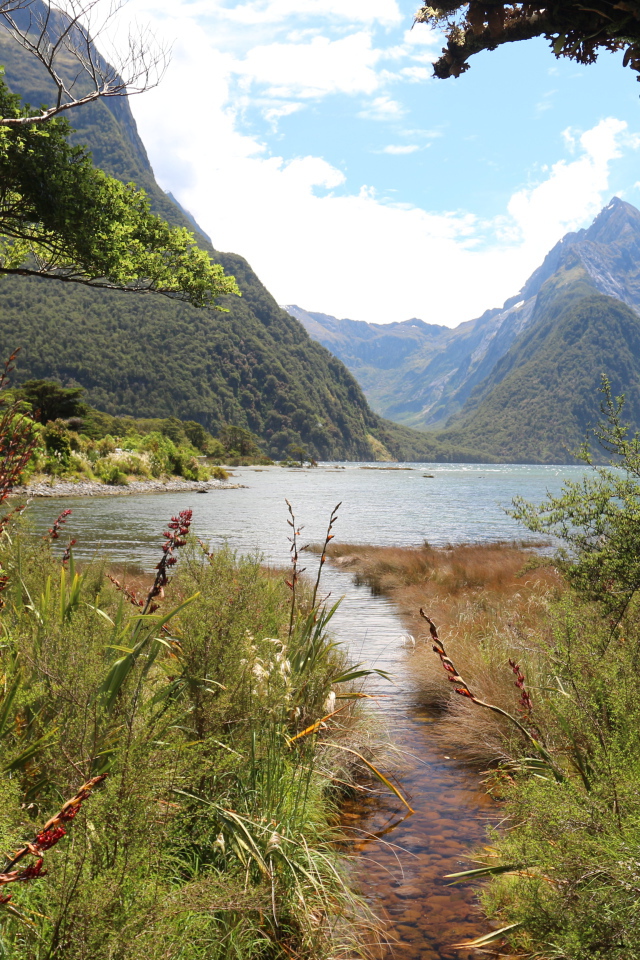 Вид на горы и озеро из лесных зарослей