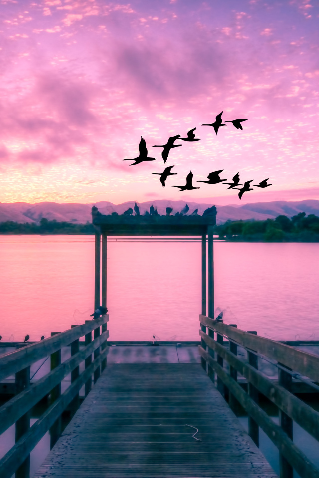 Стая птиц пролетает мимо красивого озера на закате