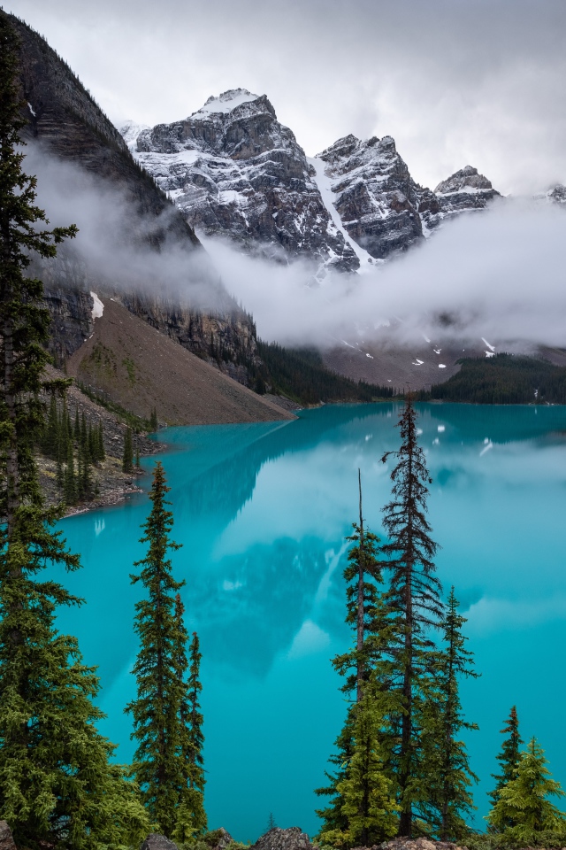 Туман над голубой водой озера в горах у леса