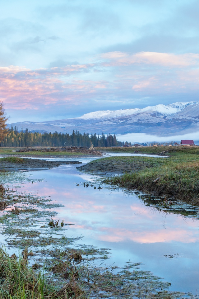 Река у леса на фоне гор под красивым небом