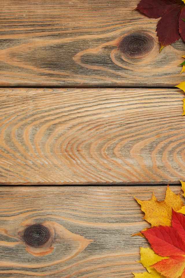 Желтые осенние листья на деревянном фоне
