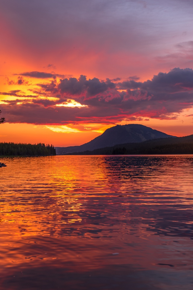 Закат в фиолетовом небе над рекой у леса