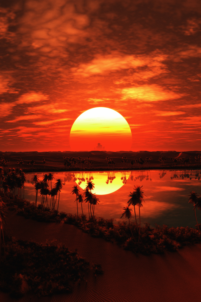 Закат большого солнца над пустыней в тропиках