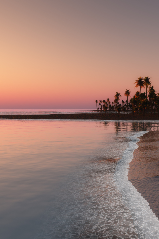 Закат солнца на горизонте у спокойного моря в тропиках 