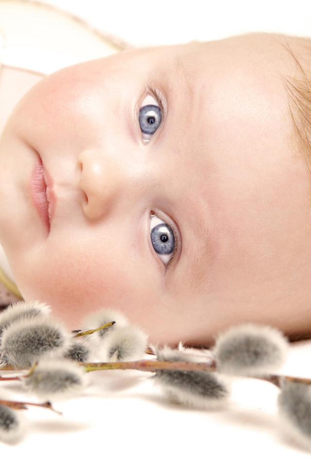 Маленький голубоглазый ребенок с веткой вербы