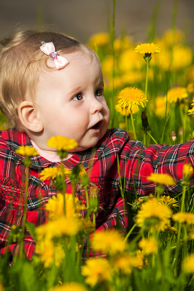 Маленькая милая девочка сидит в желтых одуванчиках