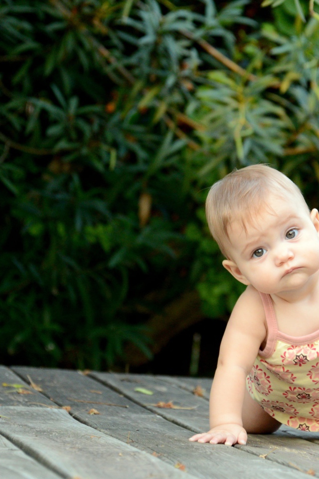 Маленькая девочка ползет по деревянному мосту