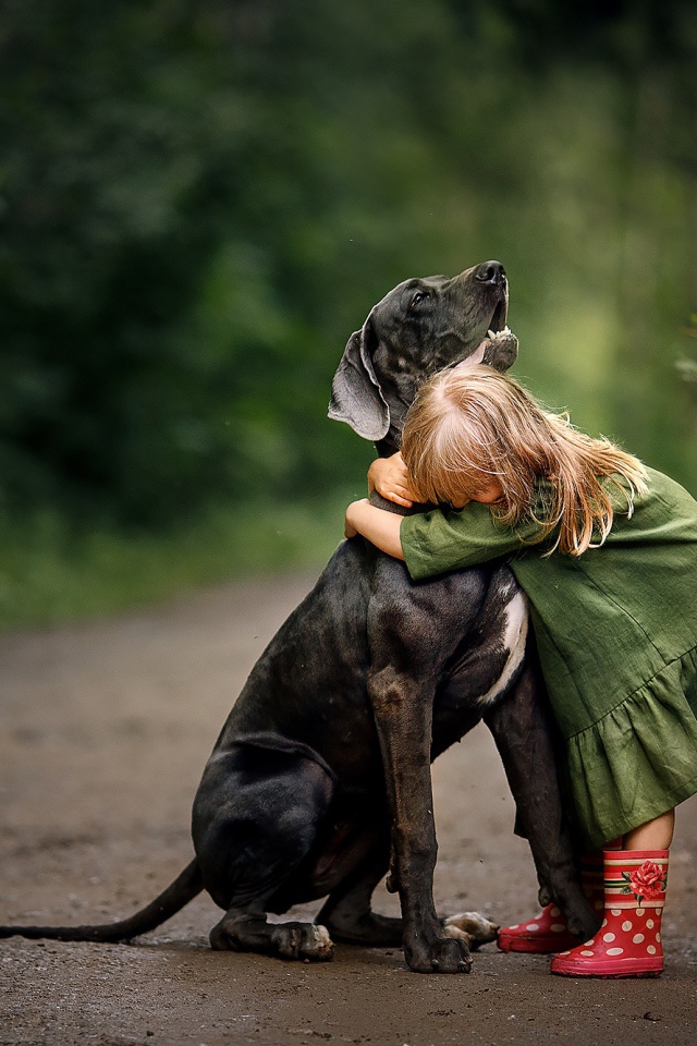Маленькая девочка обнимает большого черного дога