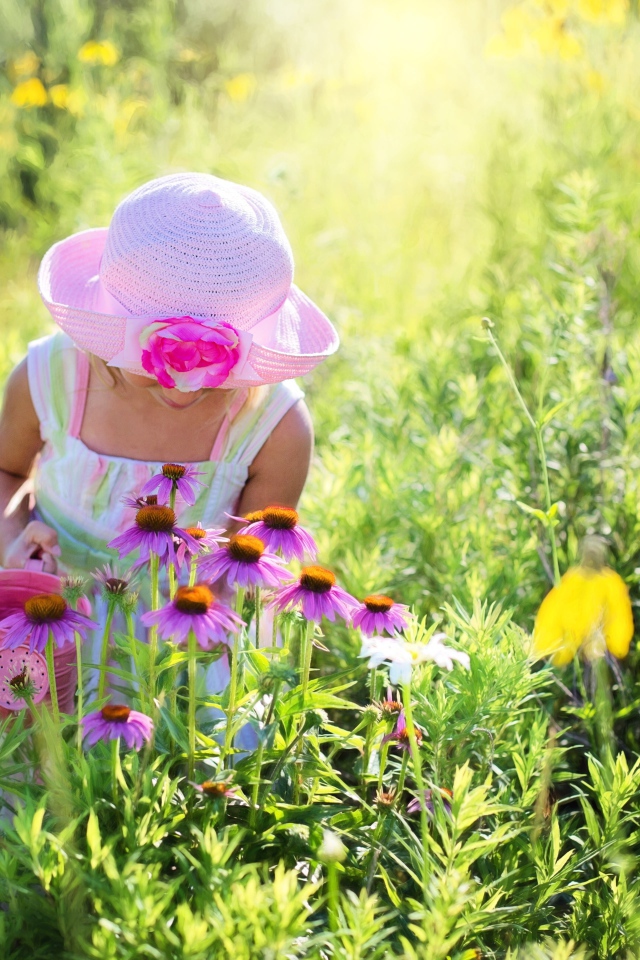 Маленькая девочка на поляне с розовыми цветами эхинацеи 