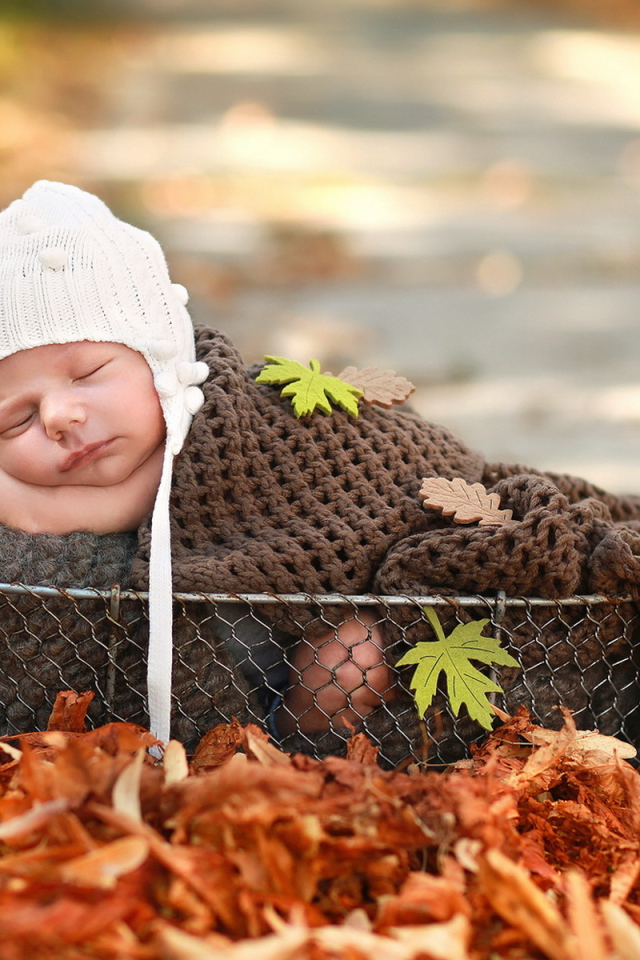 Спящий грудной ребенок в корзине осенью 