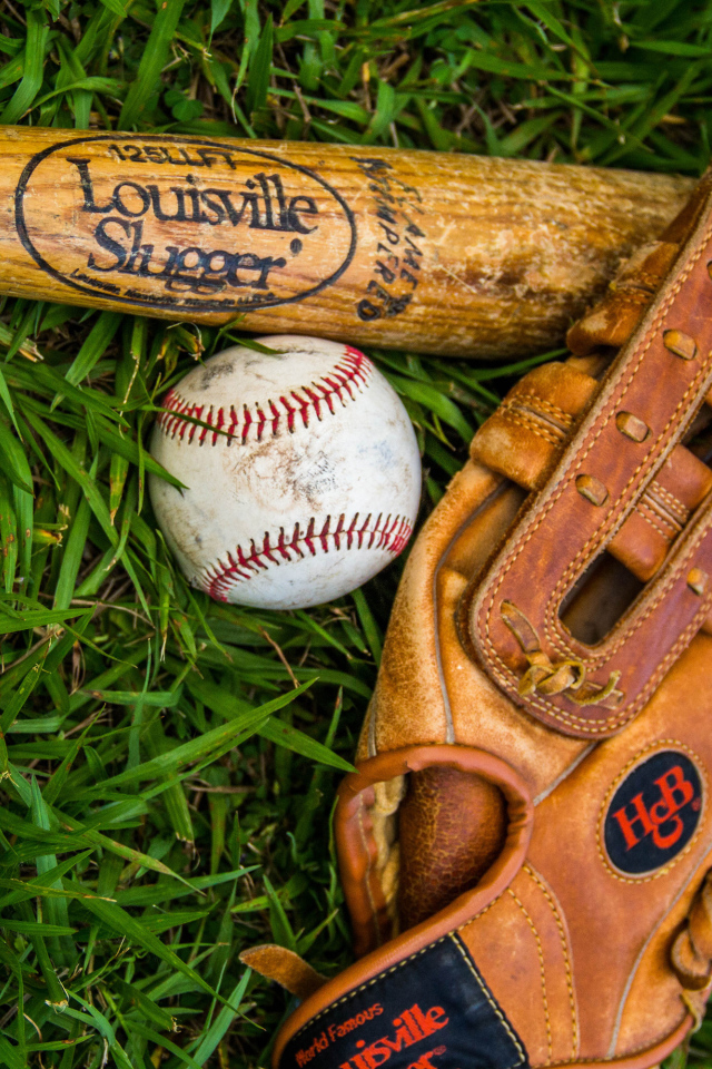 Бейсбольная бита, перчатка и мяч лежат на зеленой траве