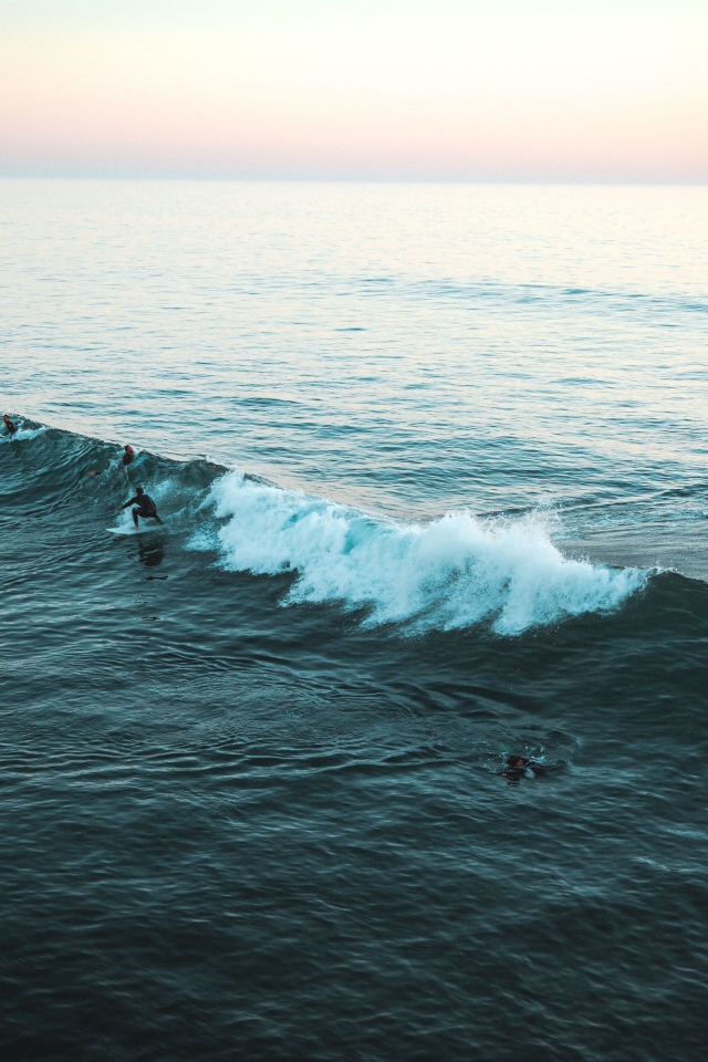 Серфингисты ловят волну в море 