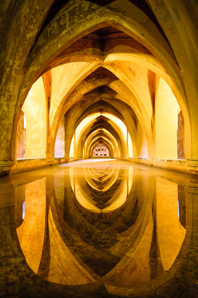 Старинная архитектура отражается в зеркальной поверхности 