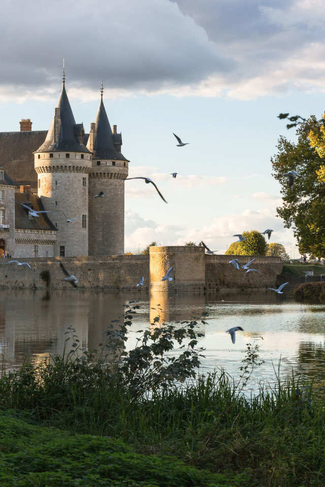 Chateau Sully-sur-Loire near the water, Paris. France