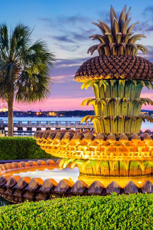 Необычный красивый фонтан ананас в США