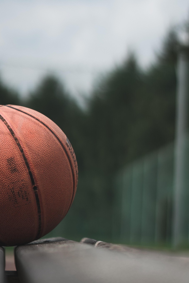 Баскетбольный мяч лежит на деревянной лавке