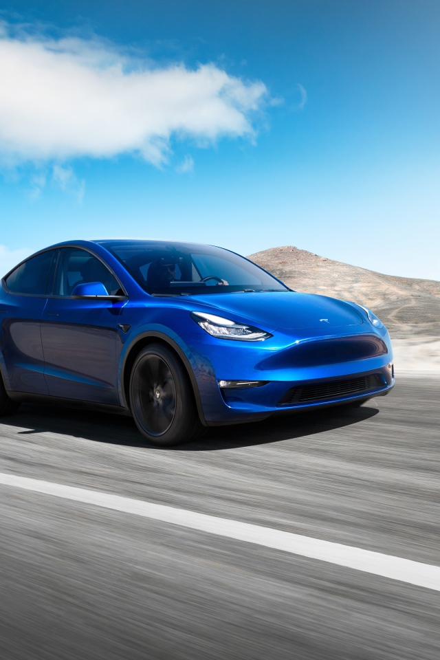 Синий автомобиль Tesla Model Y 2020 года на фоне голубого неба