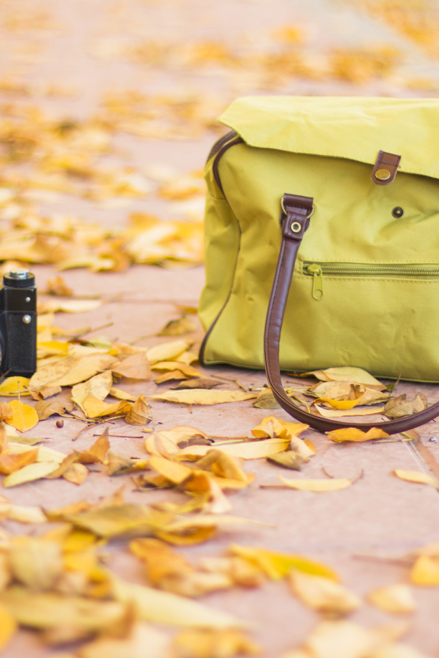 Фотоаппарат и сумка стоят на сухих листьях осенью