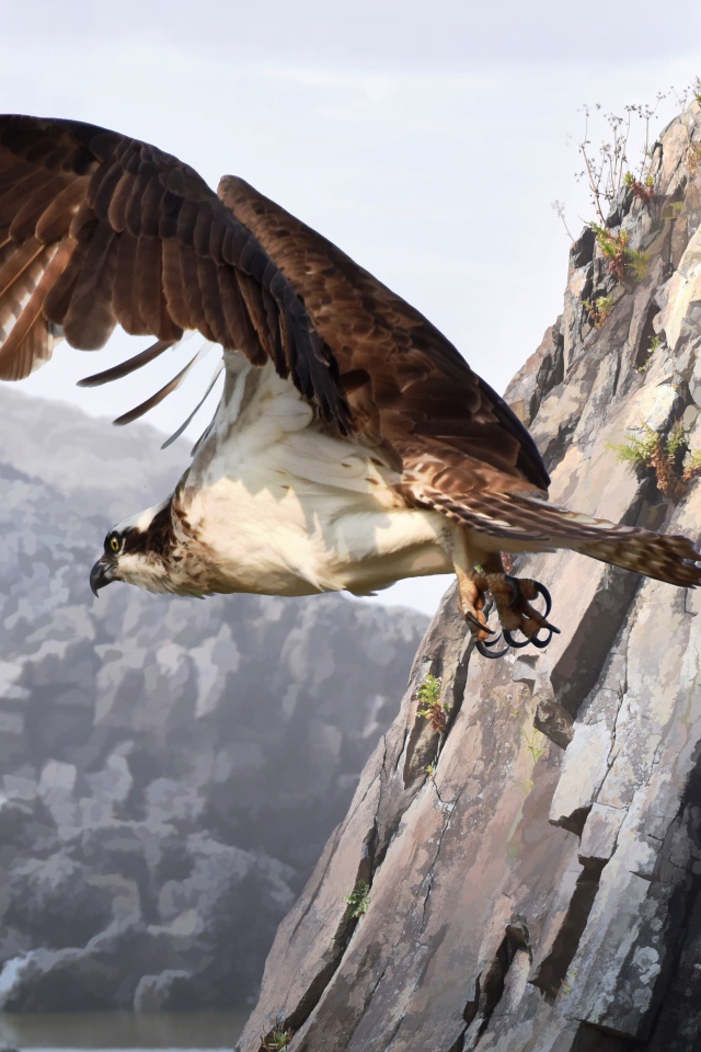 Большой хищный сокол летит у горы 