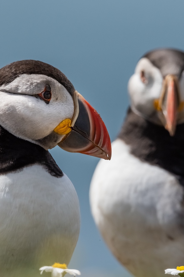 Два тупика на фоне голубого неба 