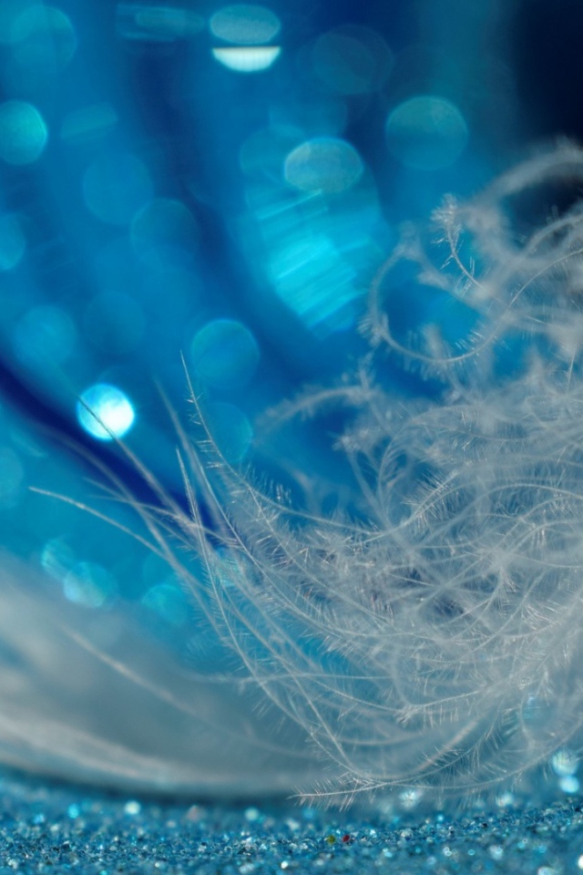 Белое легкое перо лежит на блестящей голубой поверхности 