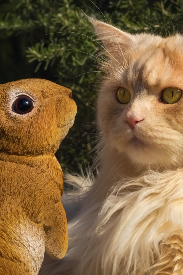 Пушистый рыжий кот сидит в парке со статуэткой кролика 