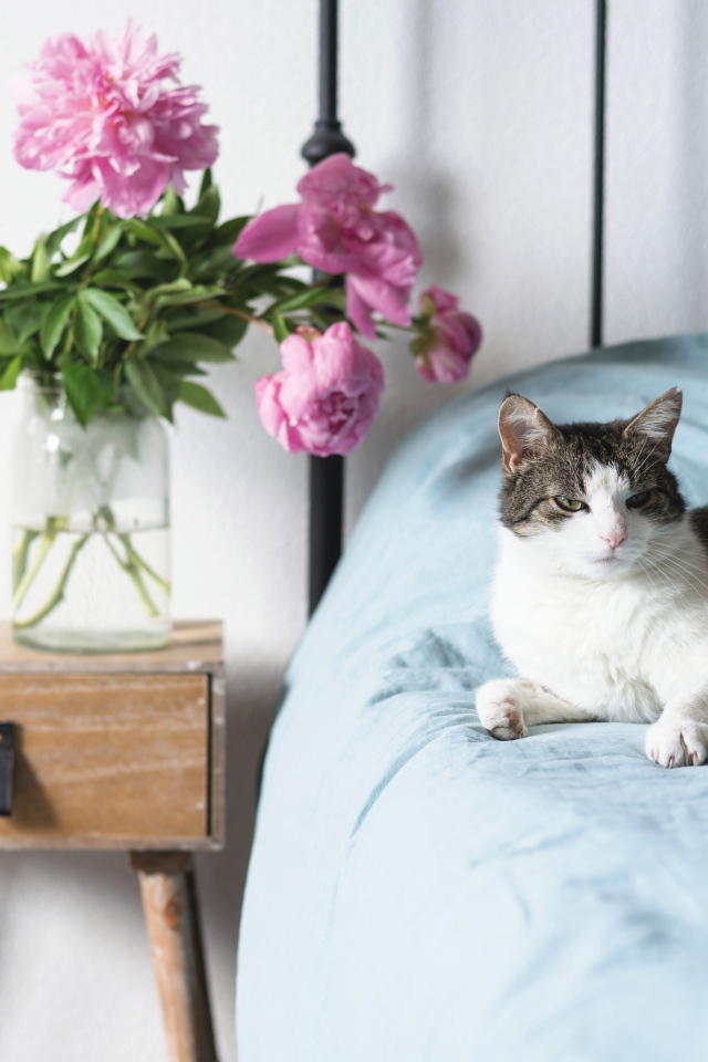 Кот лежит на большой кровати в комнате с букетом пионов