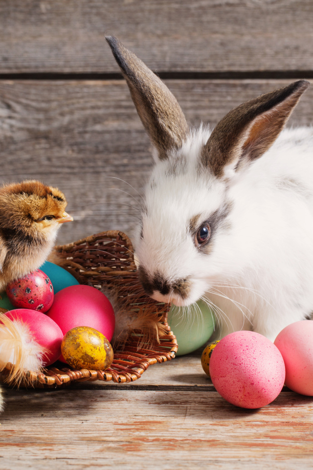 Декоративный кролик с цыплятами и яйцами