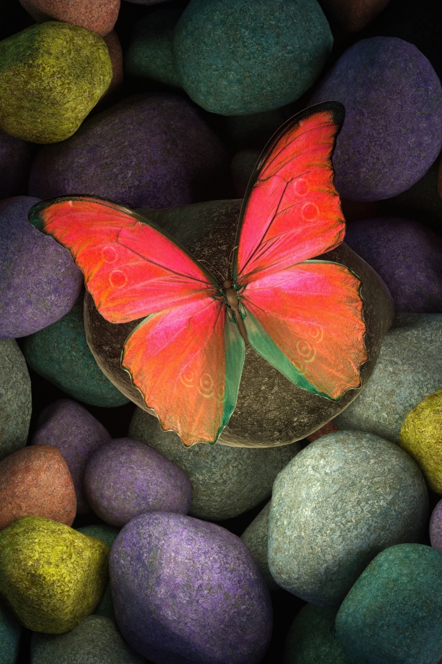 Paper butterfly on colorful stones