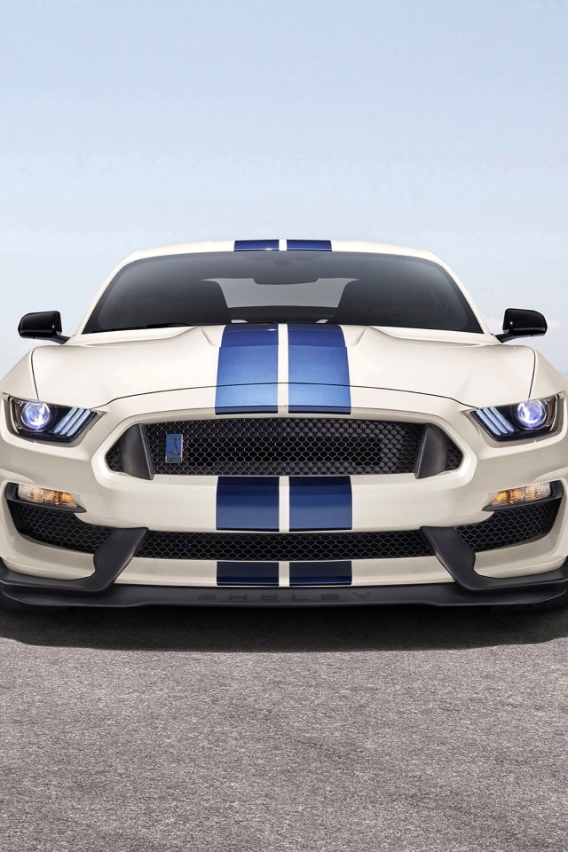 Shelby GT350 car, 2020 front view