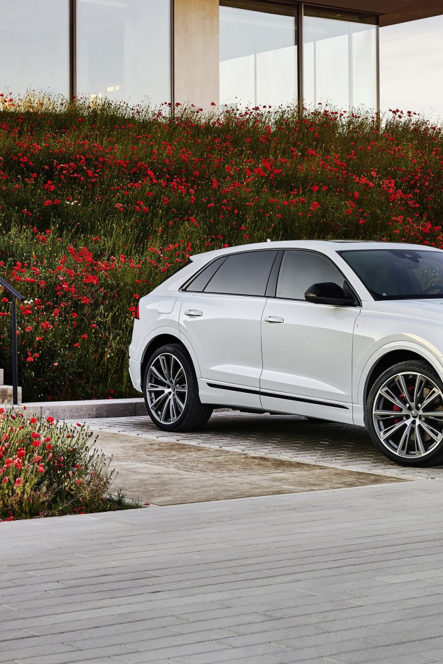 Белый автомобиль Audi Q8 60 TFSI E Quattro S Line 2020 года
