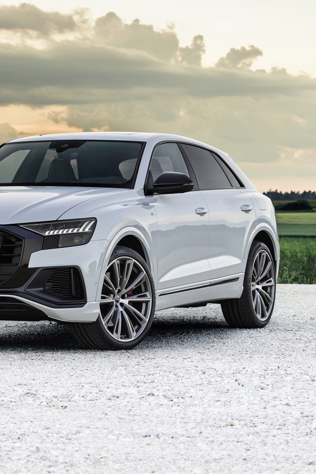 Автомобиль Audi Q8 60 TFSI E Quattro S Line 2020 года на фоне неба