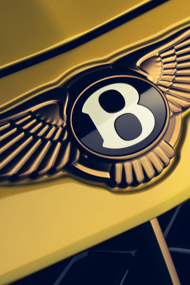 Логотип автомобиля Bentley Mulliner Bacalar 2020  года крупным планом