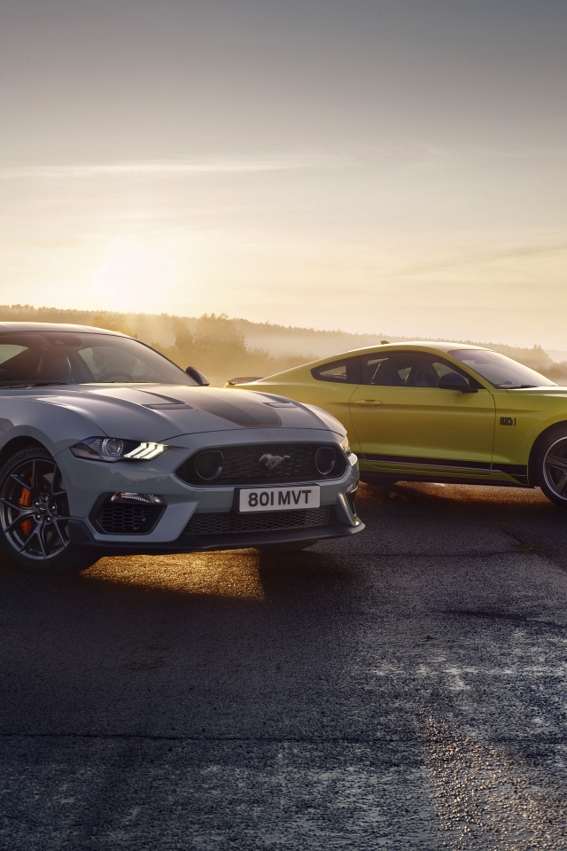 Два автомобиля Ford Mustang Mach 1 2021 года туманным утром