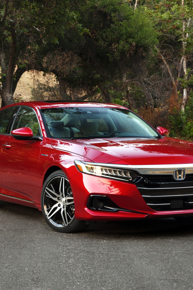Красный автомобиль Honda Accord Touring Hybrid, 2021 года на дороге в парке