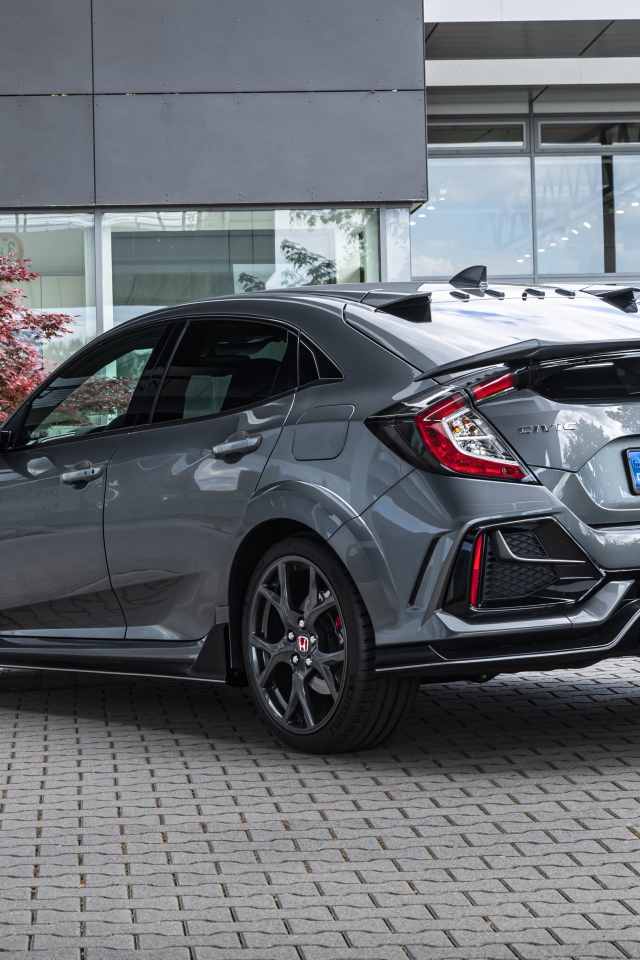Серый автомобиль Honda Civic Type R Sport Line вид сзади