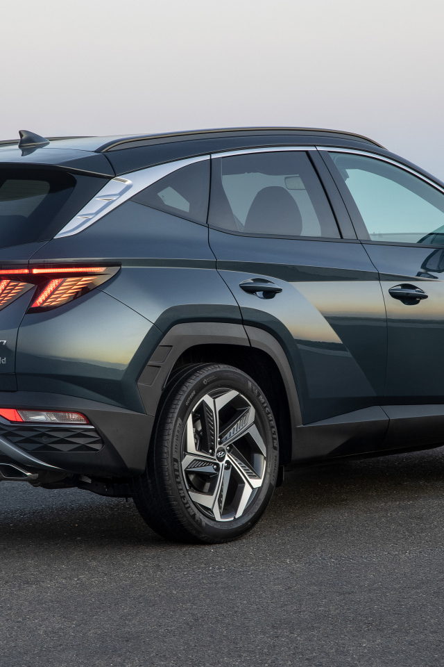 Внедорожник Hyundai Tucson Hybrid 2021 года вид сзади