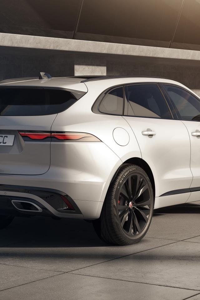 Автомобиль Jaguar F-Pace R-Dynamic Black Pack 2020 года вид сзади