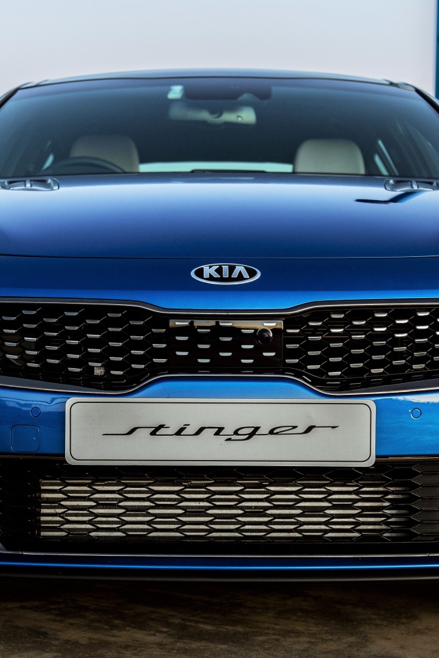 Синий автомобиль Kia Stinger GT Night Sky Edition 2020 года крупным планом