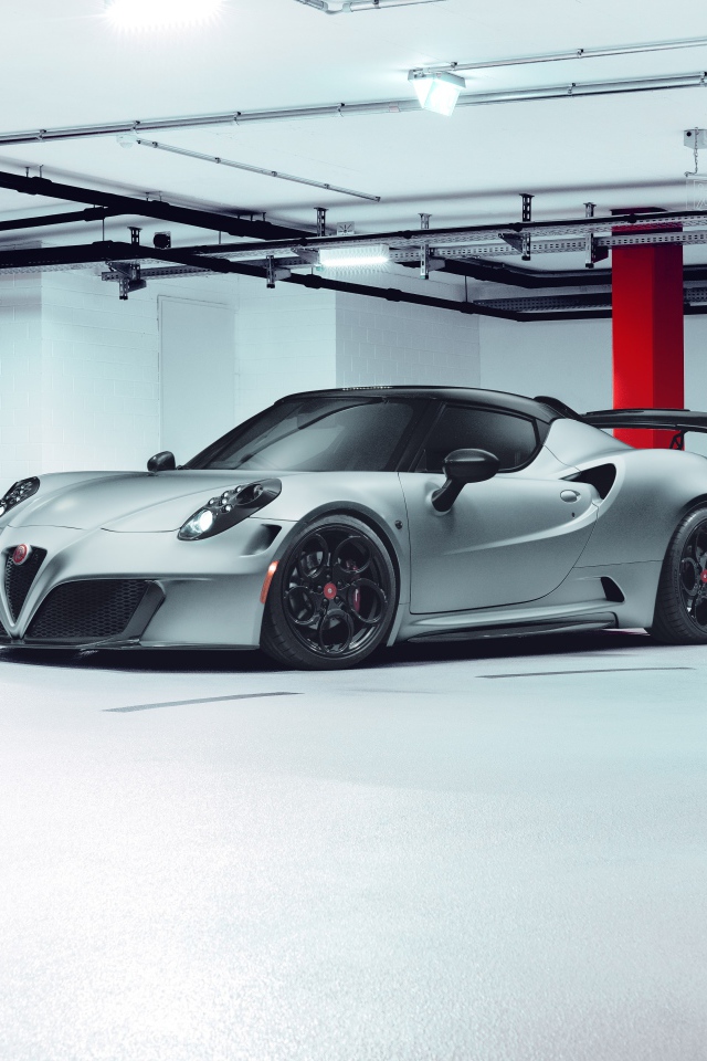 Серебристый Pogea Racing Nemesis 2020 года в гараже